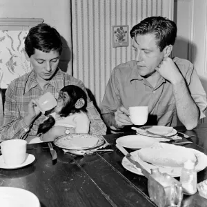 Photo shows Gerald Durrell and Jacqueline Durrell with their pet Chimpanzee Cholmondley Photo shows Gerald Durrell and Jacqueline Durrell with their pet Chimpanzee Cholmondley