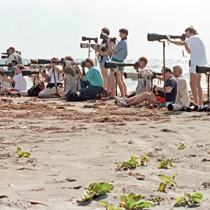 Photographers taking pictures of Diana, Princess of Wales on holiday in Nevis with her