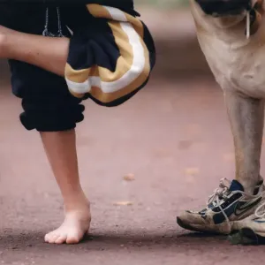 Picture shows a dog wearing trainers presumably belonging to the young boy on the left Picture shows a dog wearing trainers presumably belonging to the young boy on the left