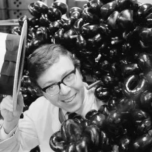 Print of a 24-year-old quality controller holding black puddings