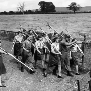 This picture is about work. But the works looks such fun This picture is about work. But the works looks such fun