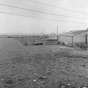 Pig Farm, Teesside, Circa 1973