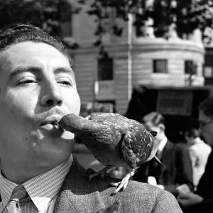 Pigeons in Trafalgar Square. January 1939 OL307J-001