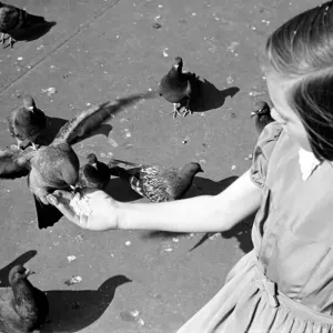 Pigeons in Trafalgar Square. January 1939 OL307J-004