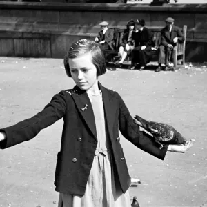 Pigeons in Trafalgar Square. January 1939 OL307J-006