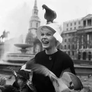 When pink Dorothy Provine arrived in London today she wanted to see the town When pink Dorothy Provine arrived in London today she wanted to see the town