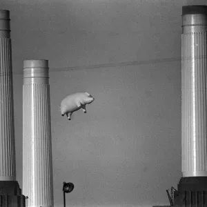 Print of Pink Floyd's Inflatable Flying Pig at Battersea Power Station Print of Pink Floyd's Inflatable Flying Pig at Battersea Power Station