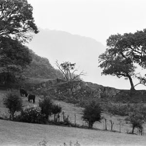 Plas Dol-y-Moch, Coventrys Outdoor Education Centre Plas Dol-y-Moch, Coventrys Outdoor Education Centre