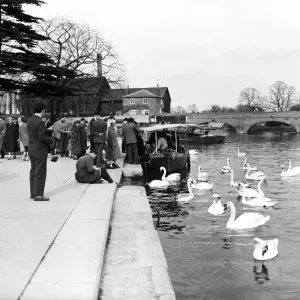 Pleasure boat on the River Avon at Stratford-upon-Avon, Warwickshire. 6th April 1959 Pleasure boat on the River Avon at Stratford-upon-Avon, Warwickshire. 6th April 1959