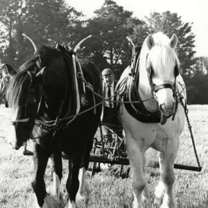 Ploughing a straight furrow at Brailsford 15th October 1988 Ploughing a straight furrow at Brailsford 15th October 1988