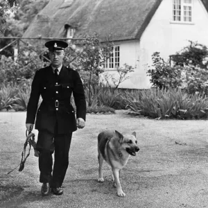 A police dog with handler in Cambridge, 1965