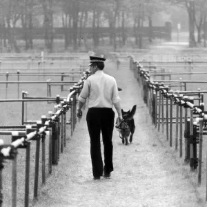 Police dog handler checks specially built enclosure to house vast crowd ahead of Pope Police dog handler checks specially built enclosure to house vast crowd ahead of Pope