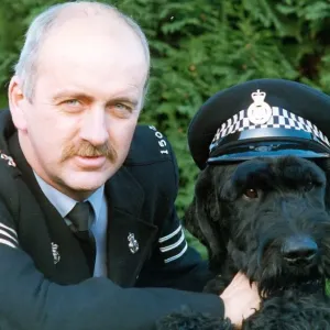 Police dog Kruger Giant Schnauzer Print