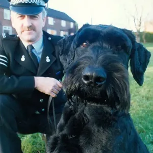Police dog Kruger the Giant Schnauzer with his handler Paul Hedges