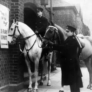 Police horses at an X-ray unit. Hobsons choice wonders what it is all about when Police horses at an X-ray unit. Hobsons choice wonders what it is all about when