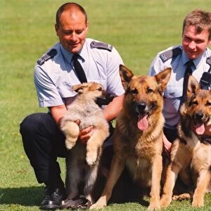 Police Officer Paul Dover (right) with puppy Asa and its police dog parents
