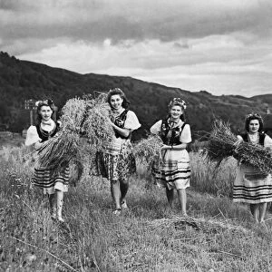 Polish girls farming in Scotland during the Second World War. 8th September 1942