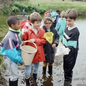 Pond Dipping at Meltham Mills Dam, 5th July 1990 Print Pond Dipping at Meltham Mills Dam, 5th July 1990 Print