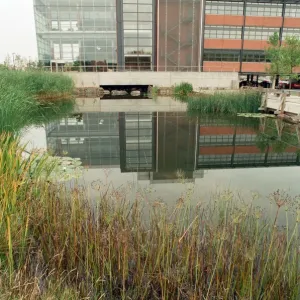 The Powergen headquarters which has just won another design award. 25th September 1996 The Powergen headquarters which has just won another design award. 25th September 1996