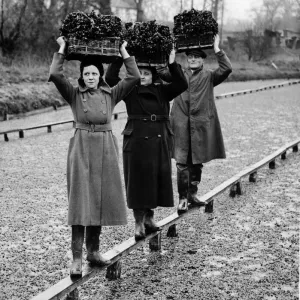 Preparing the Watercress Harvest Print