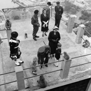 Prince Charles pictured in Gibraltar with the apes. 11th May 1954