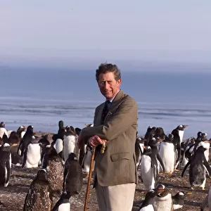 Prince Charles on Sea Lion Island, March 1999 In The Falklands with the Penguins
