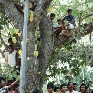 Prince Charles tour of India. Pictured, spectators await the Prince, Orissa