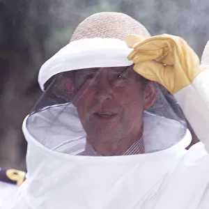 Prince Charles wearing a bee protection suit in March 1999, during his visit of Argentina