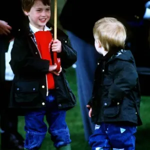 Prince Harry and Prince William Polo Print