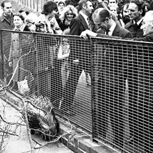 Prince Philip, Duke of Edinburgh visits Paignton Zoo, Devon. 9th March 1978