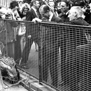 Prince Philip at Paignton Zoo Print, 1978