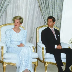 Prince and Princess of Wales, Middle East Tour November 1986