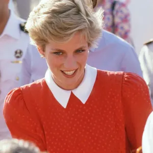 Prince and Princess of Wales, Middle East Tour November 1986