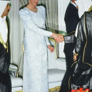Prince and Princess of Wales, Middle East Tour November 1986