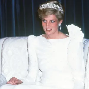 Prince and Princess of Wales, Middle East Tour November 1986