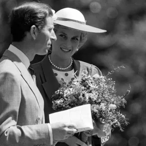 PRINCE AND PRINCESS OF WALES DURING A TRIP TO AMERICA 01 / 11 / 1985 CODE PRINCE AND PRINCESS OF WALES DURING A TRIP TO AMERICA 01 / 11 / 1985 CODE