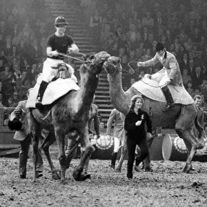 THE PRINCE OF WALES RACES CAMELS WITH WILLIE CARSON (R) AND CAPTAIN MARK PHILIPS