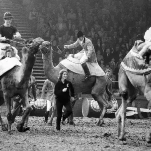 THE PRINCE OF WALES RACES CAMELS WITH WILLIE CARSON (R) AND CAPTAIN MARK PHILIPS THE PRINCE OF WALES RACES CAMELS WITH WILLIE CARSON (R) AND CAPTAIN MARK PHILIPS