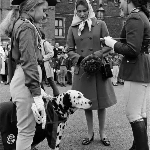 Princess Anne visits the Horse Rangers of the Commonwealth at Hampton Court Palace Princess Anne visits the Horse Rangers of the Commonwealth at Hampton Court Palace