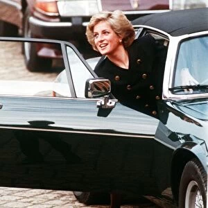 Princess Diana arrives at Bleinheim palace for a charity auction. 6th November 1988