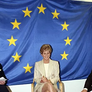Princess Diana poses beneath the flag of the European Community in Brussels