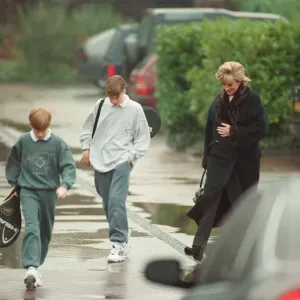 Princess Diana with her two sons Prince Harry (left) and Prince William (centre Princess Diana with her two sons Prince Harry (left) and Prince William (centre