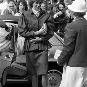 The Princess of Wales Print, Newcastle Visit 1986