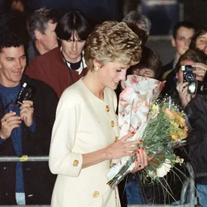 The Princess of Wales, Princess Diana, attends the Help the Aged Tunstall Golden Awards