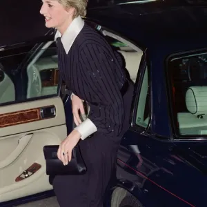 The Princess of Wales, Princess Diana, in her capacity as Patron The Princess of Wales, Princess Diana, in her capacity as Patron