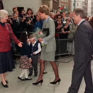 Princess of Wales, who has been appointed vice-President of the British Red Cross Princess of Wales, who has been appointed vice-President of the British Red Cross
