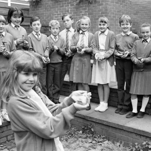 Alumnos de la escuela primaria St Patricks estaban tan impresionados con una excursión escolar que ellos. Alumnos de la escuela primaria St Patricks estaban tan impresionados con una excursión escolar que ellos.
