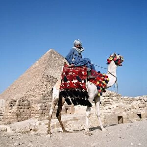 Pyramid Giza Egypt man on camel