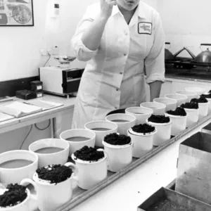 Quality controller Sally Nicholas checks the tea for taste at the Tetley Tea factory Quality controller Sally Nicholas checks the tea for taste at the Tetley Tea factory
