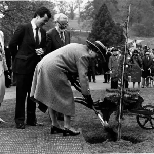 Queen Elizabeth II Planting a Tree Print, Powis Castle 1989 Queen Elizabeth II Planting a Tree Print, Powis Castle 1989